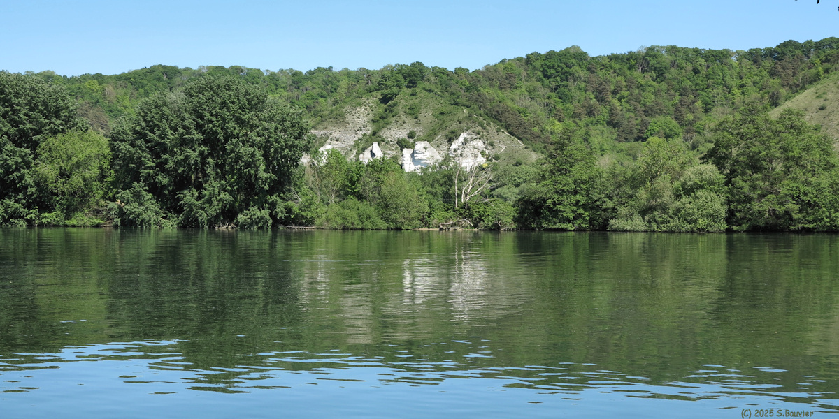 Vatteville (Falaise 1)