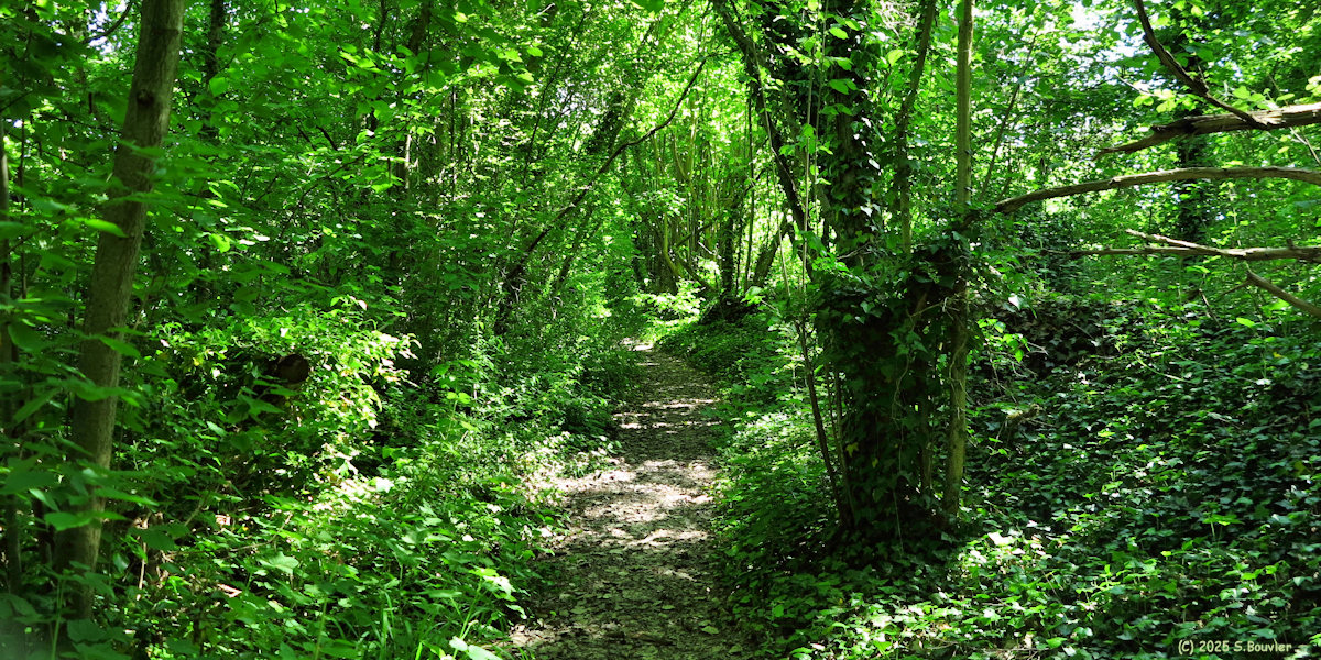 Tournedos sur Seine (Sentier)