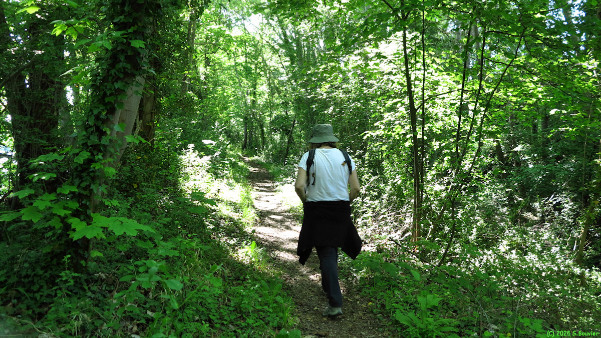 Porte Joie (Sentier 1)