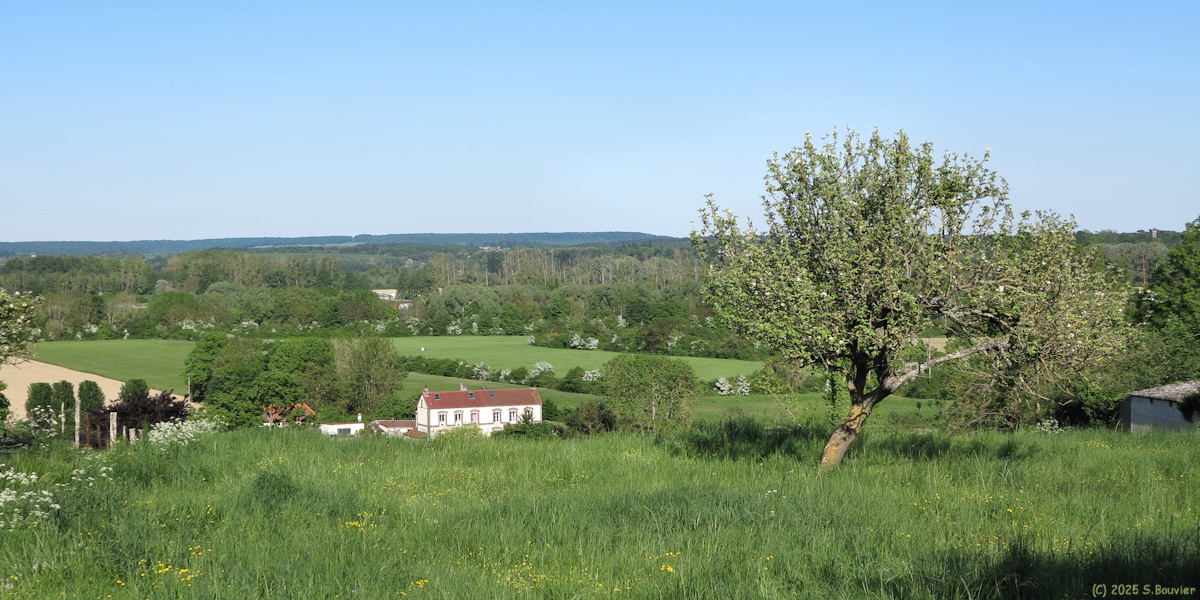 Saint Etienne du Vauvray (Prairie)