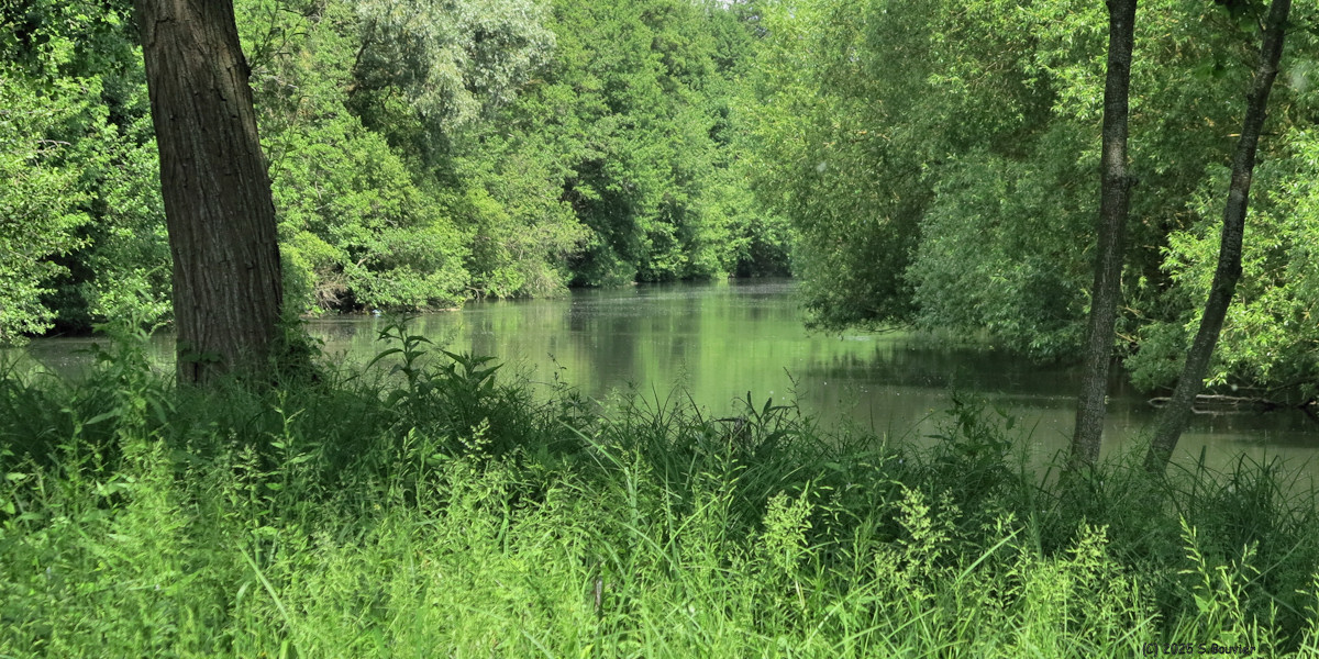 Incarville (Eure)