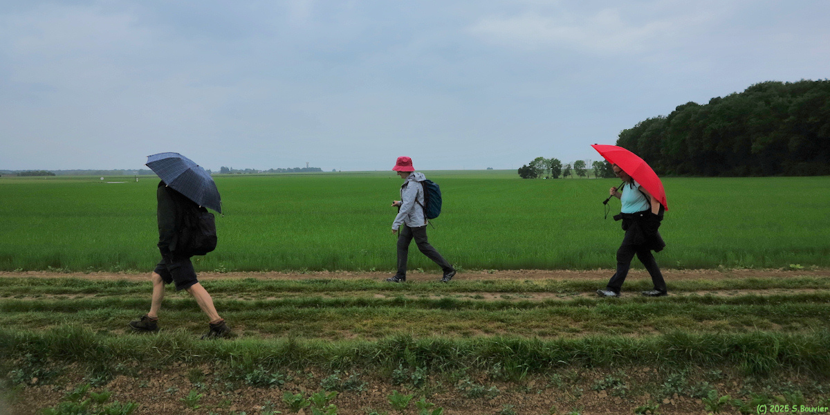 Acquigny (Chemin 2)