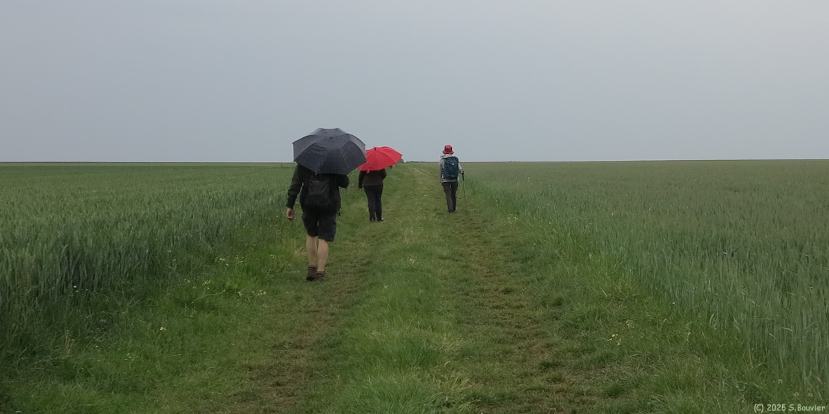 Canappeville (Chemin 2)
