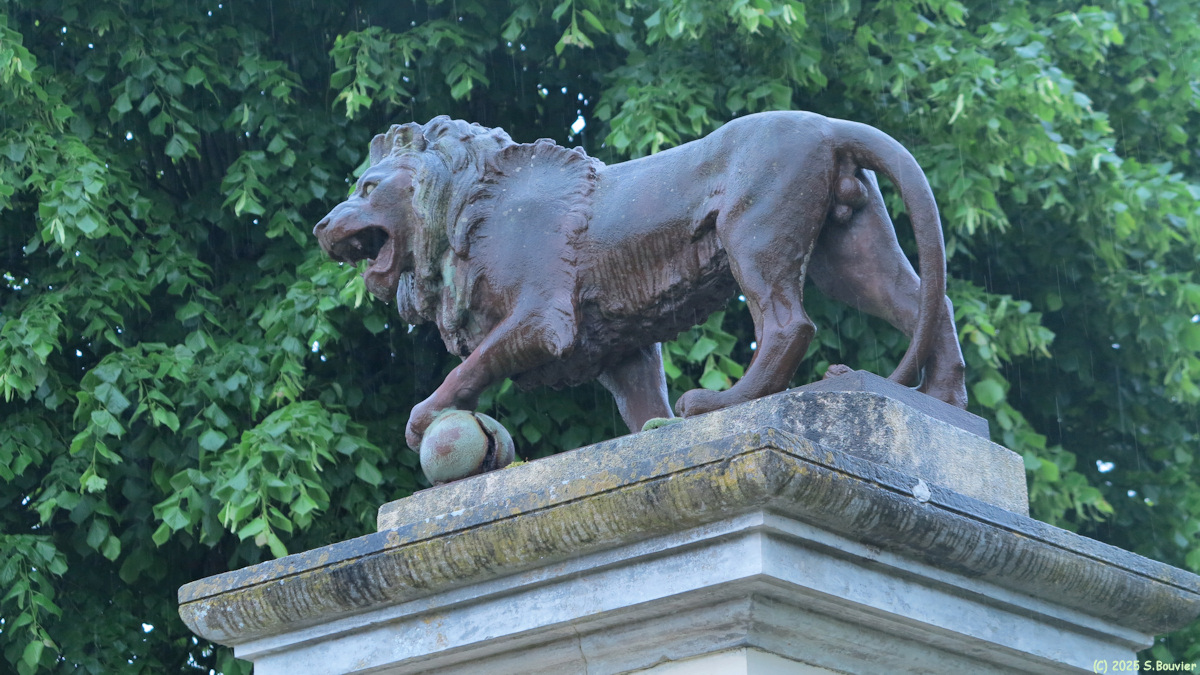 La Haye le Comte (Lion)