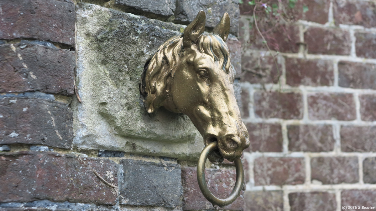 Louviers (Tête de Cheval)
