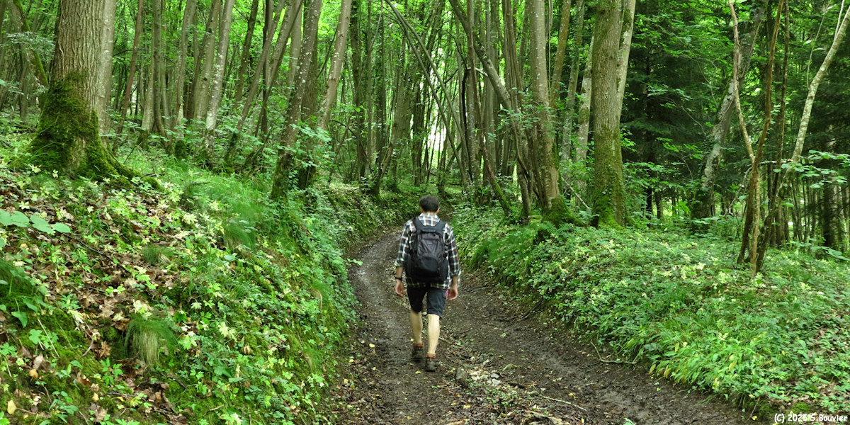 Acquigny (Chemin 4)