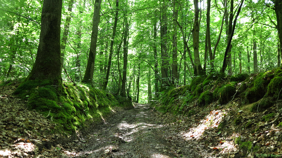 Acquigny (Chemin 5)