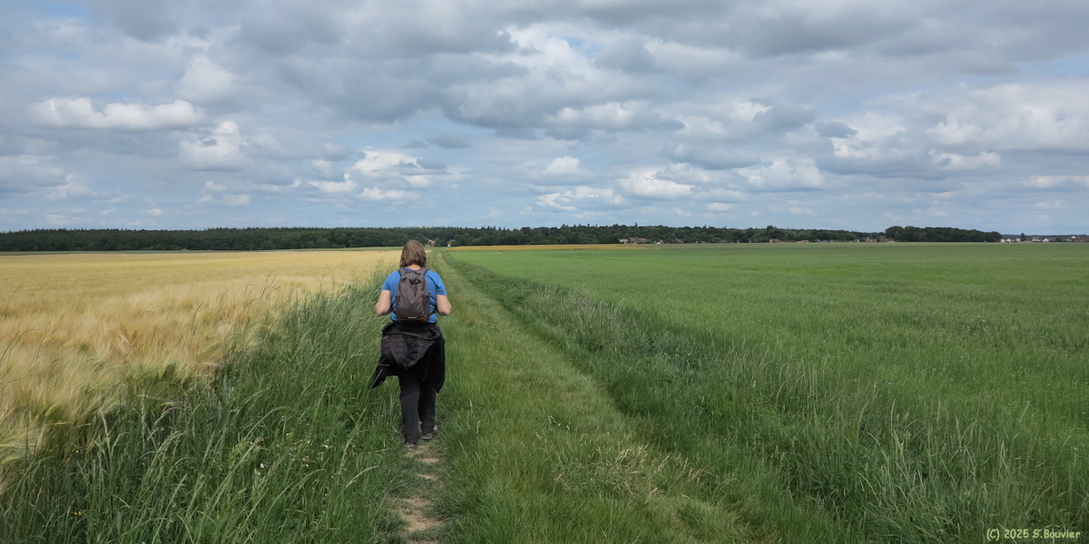 La Vacherie (Chemin 3)