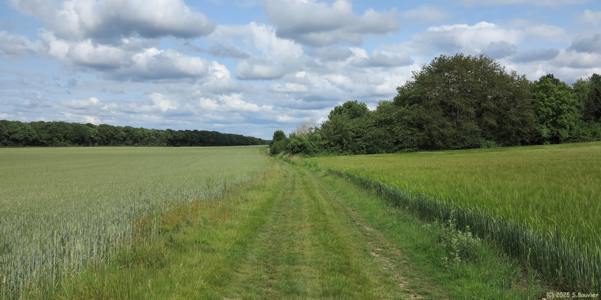 Heudreville sur Eure (Chemin)