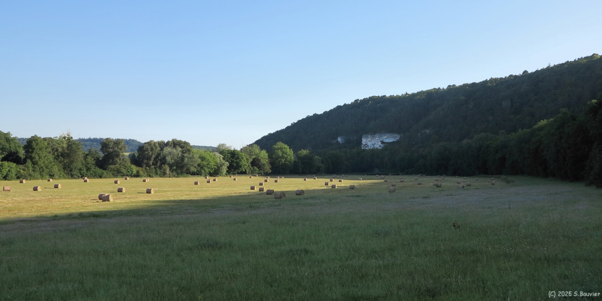 Brosville (Roche)