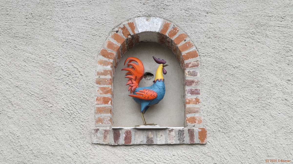 Normanville (Coq)