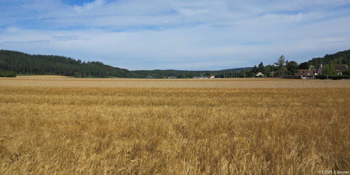Normanville (Vallée)