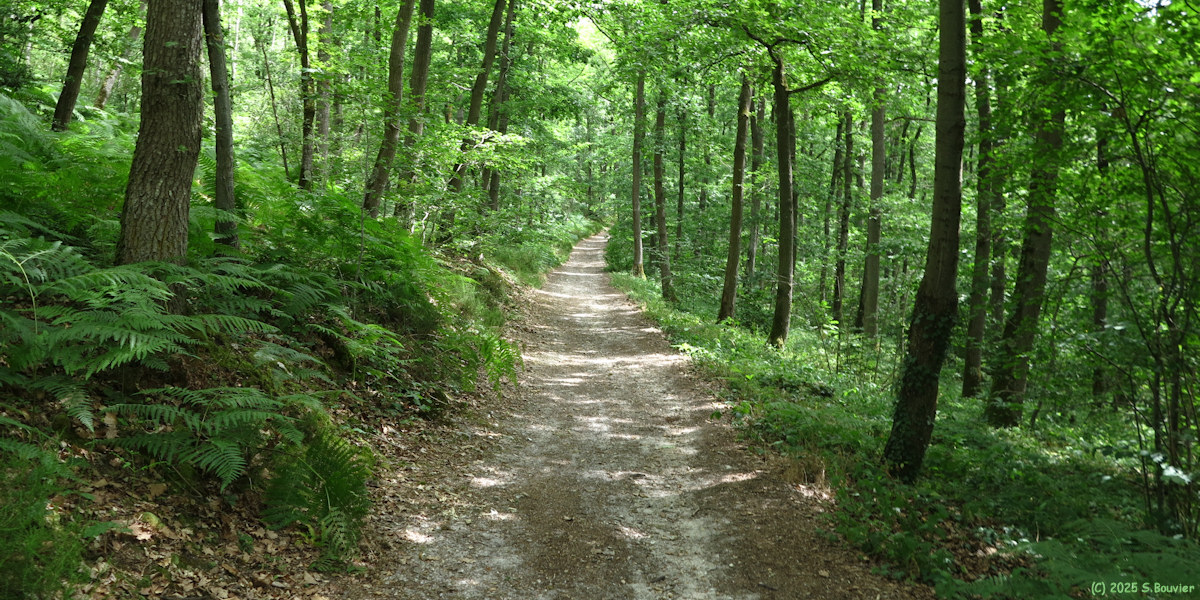 Evreux (Chemin)