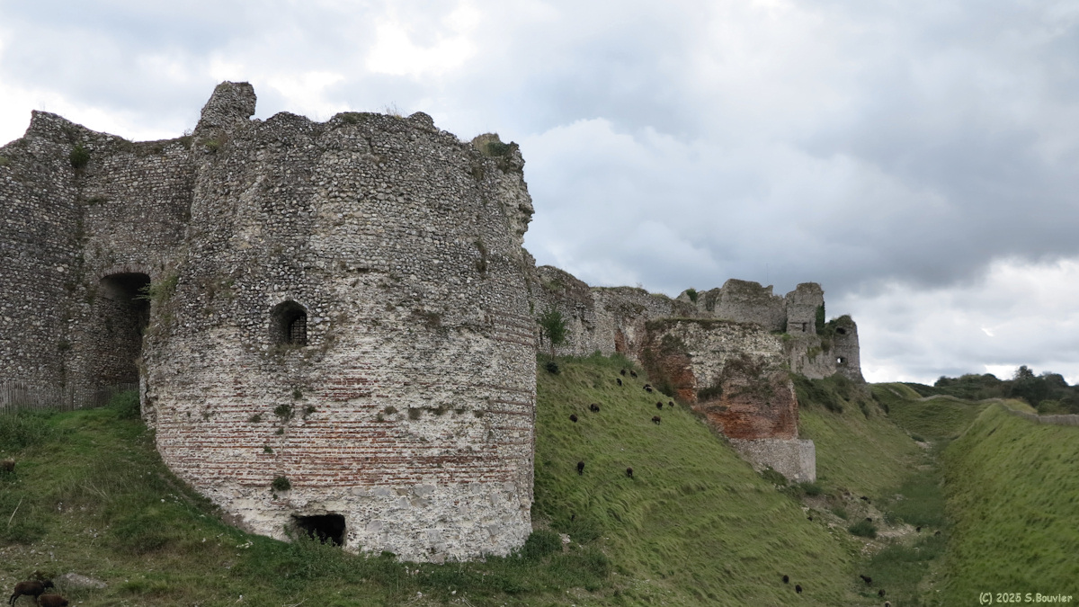Arques la Bataille (Château 1)