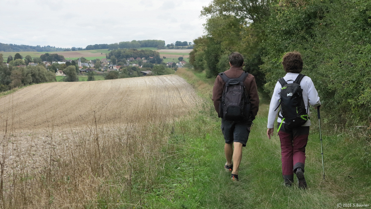 Saint Aubin le Cauf (Chemin)