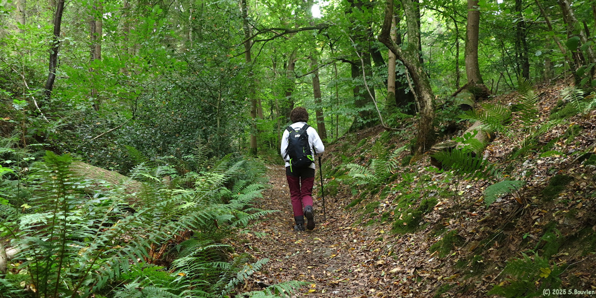 Massif de Pimont (Chemin)
