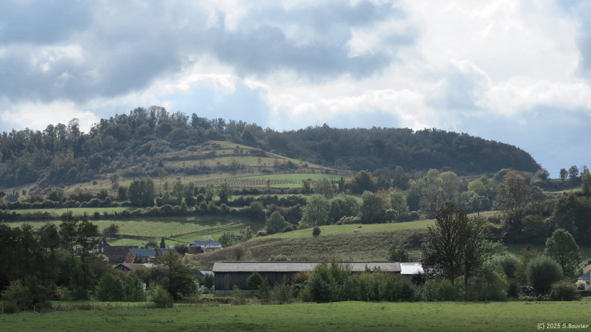 Saint Vaast d'Equiqueville (Bois Dimont)