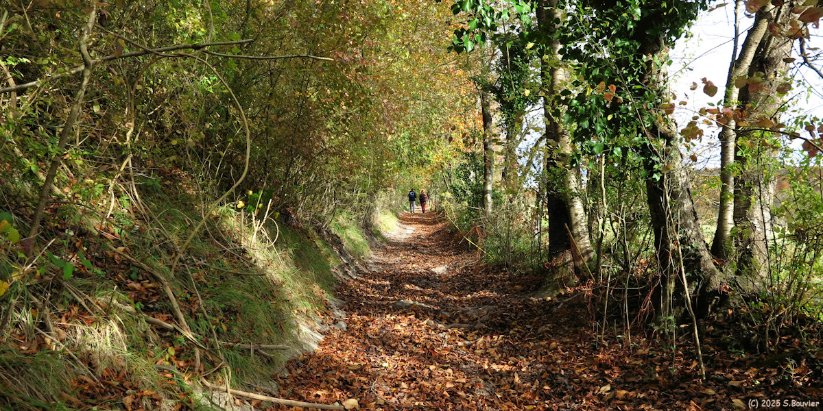 Mesnières en Bray (Chemin 1)
