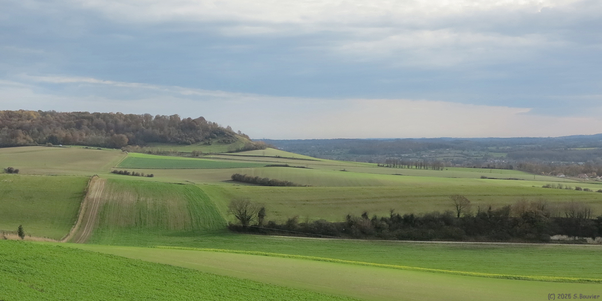Mesnières en Bray (Côte)