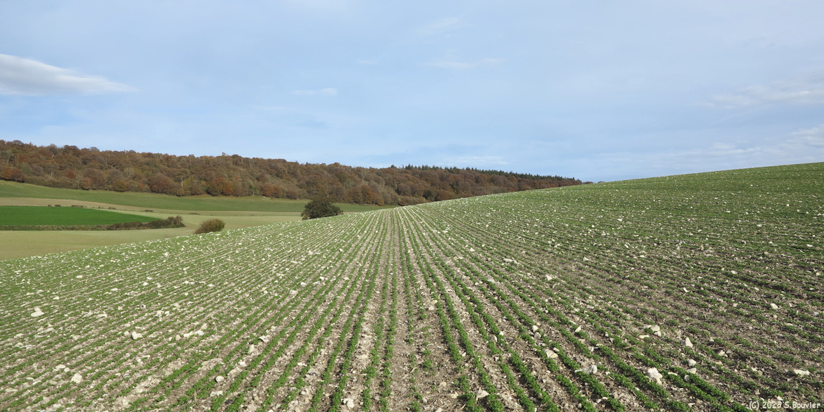 Mesnières en Bray (Champ)