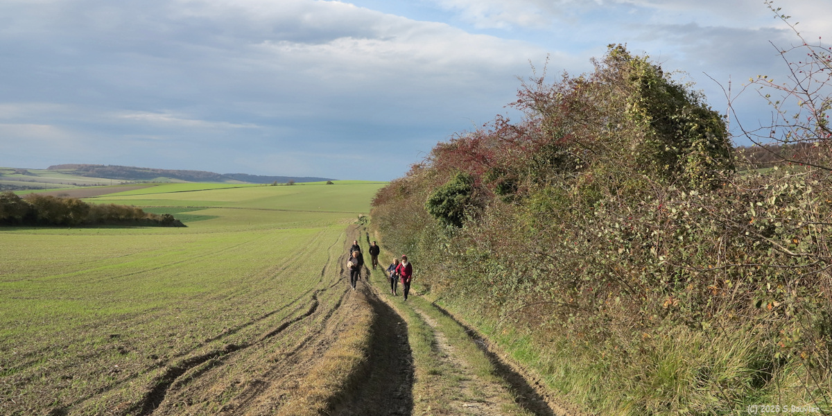 Mesnières en Bray (Chemin 3)