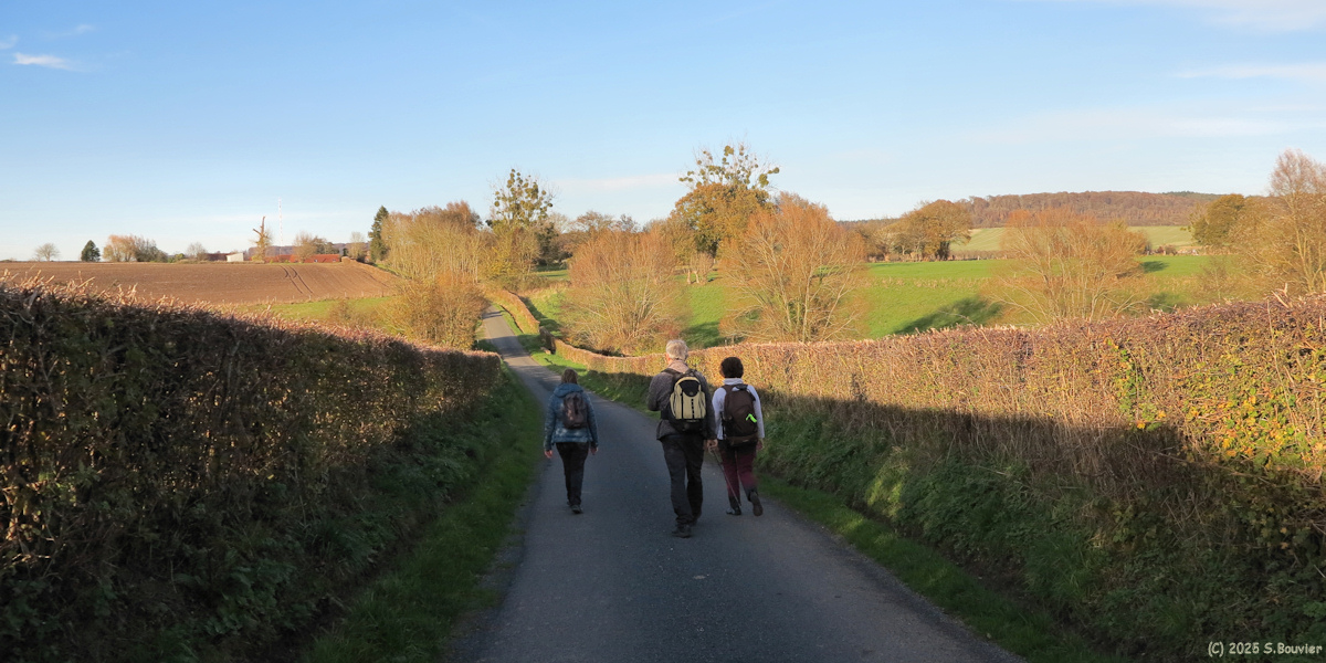 Saint Martin l'Hortier (Route)