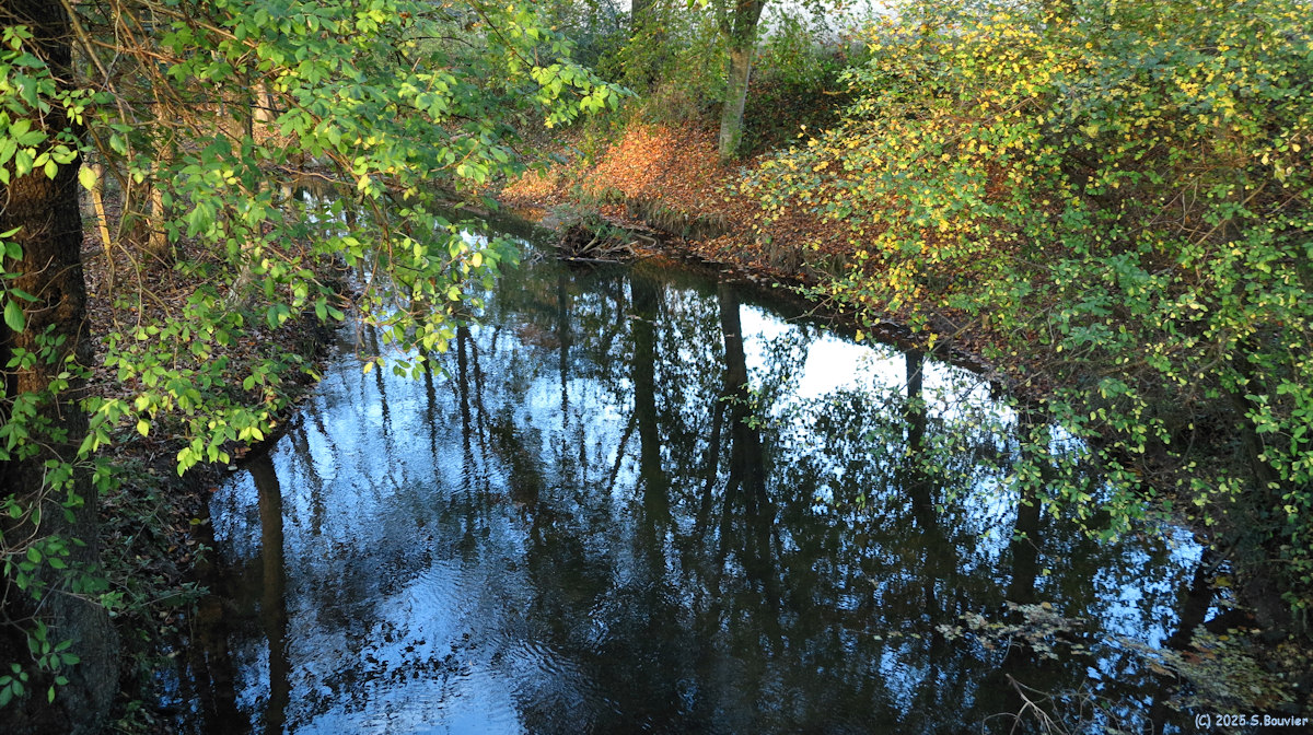 Mesnières en Bray (Reflets)