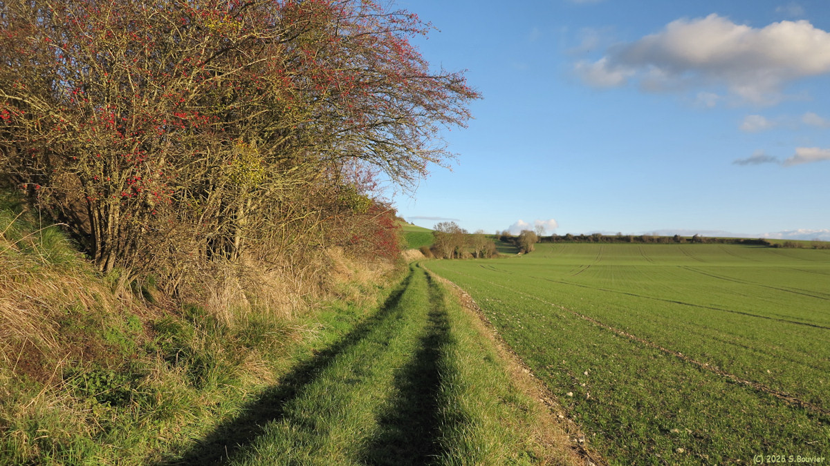 Nesle Hodeng (Chemin 1)