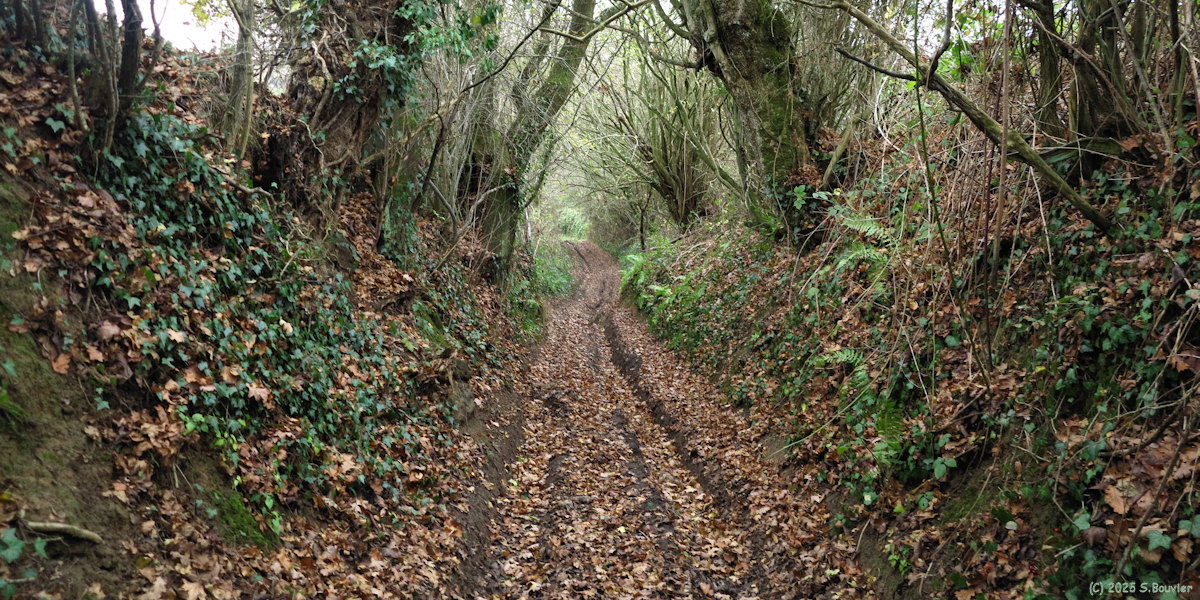 Beaussault (Chemin 2)