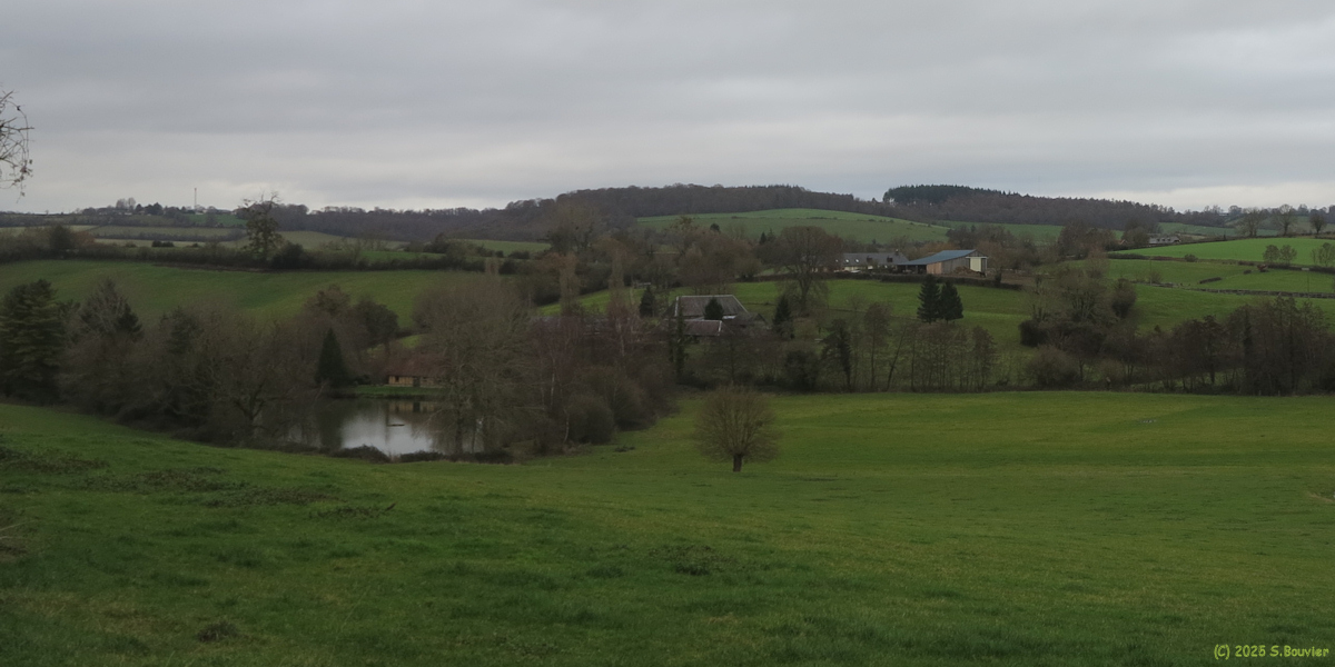 Compainville (Etang)