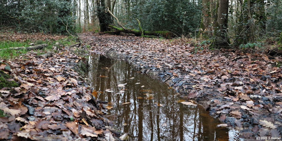 Beaubec la Rosière (Chemin 1)