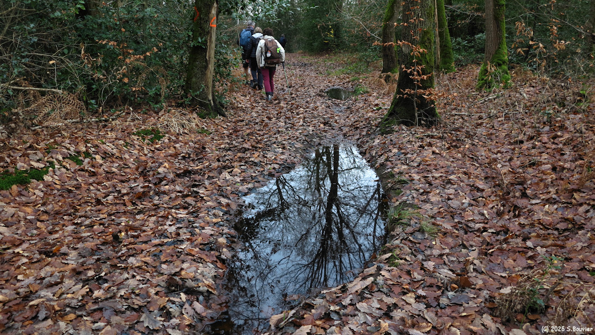 Beaubec la Rosière (Chemin 1)