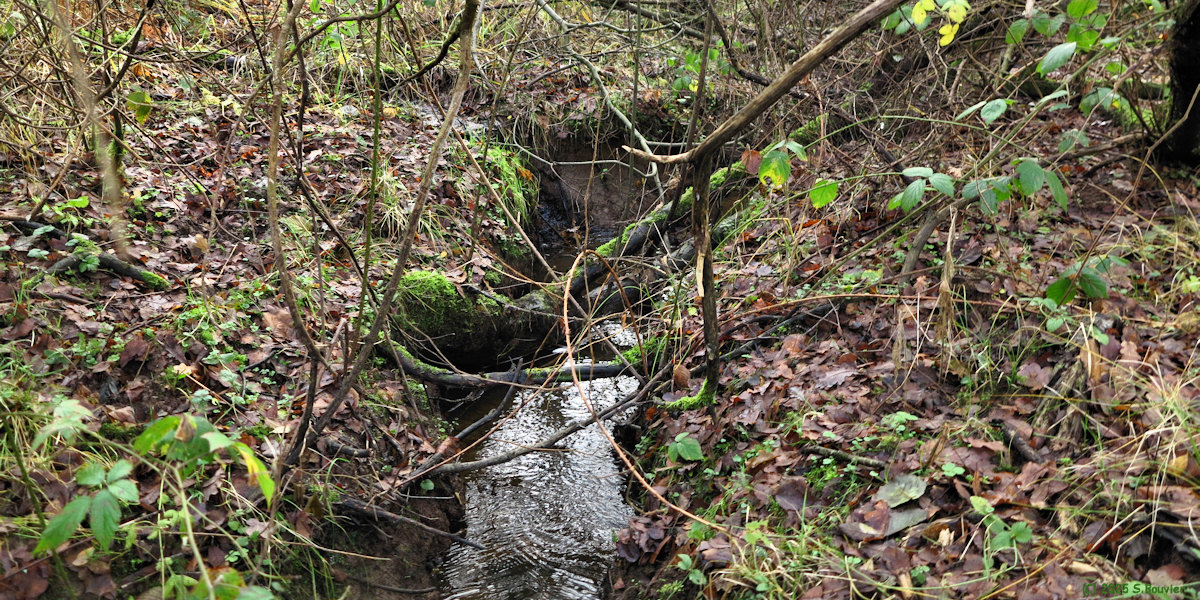Forges les Eaux (Andelle)