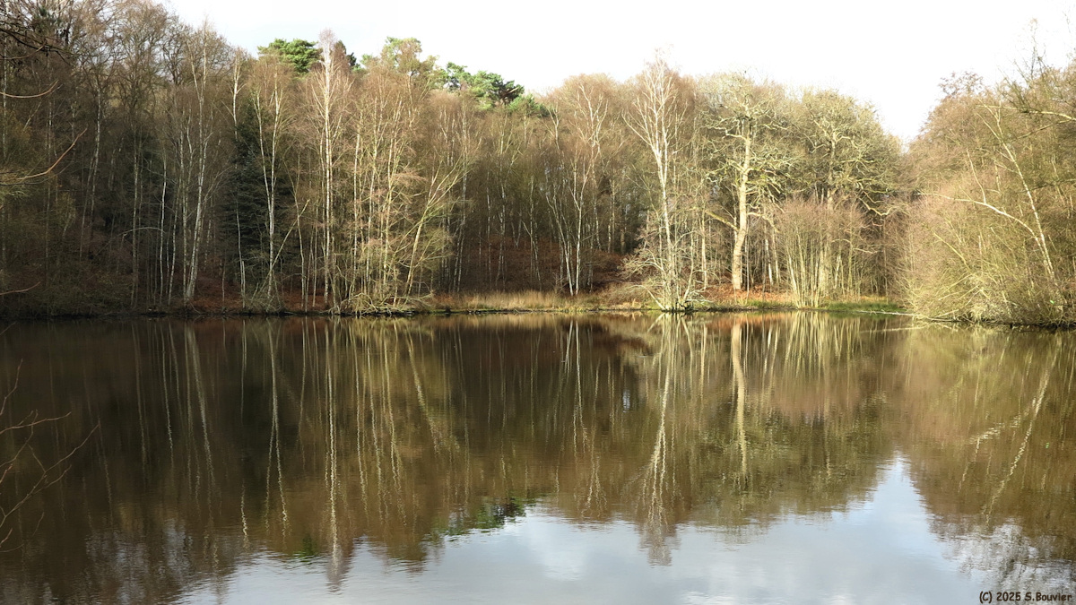 Forges les Eaux (Etang 1)