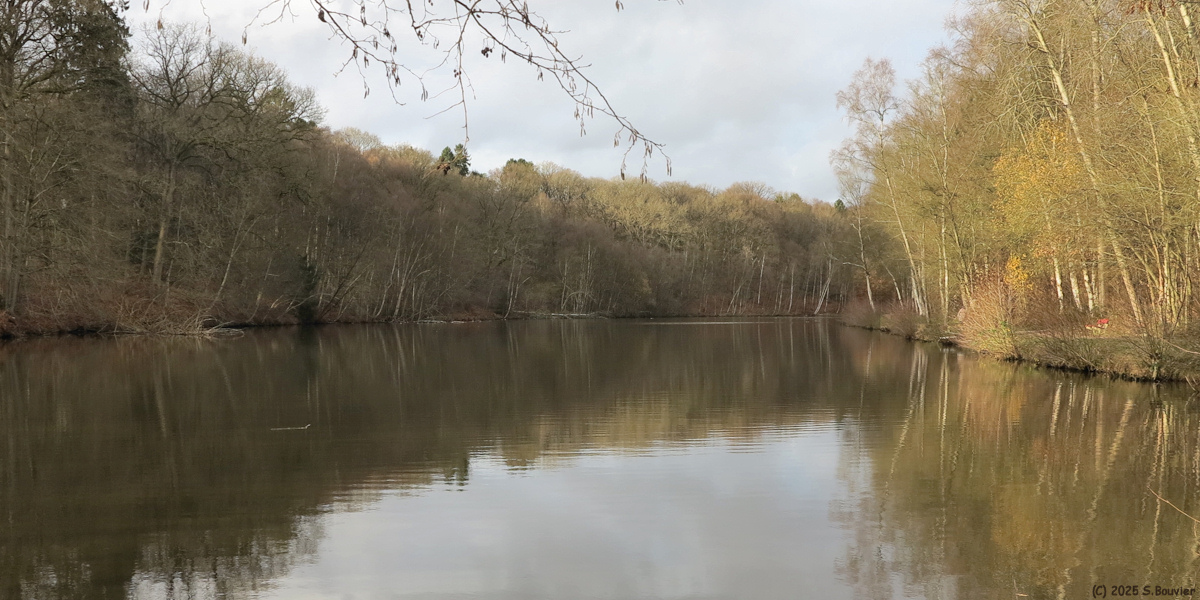 Forges les Eaux (Etang 2)