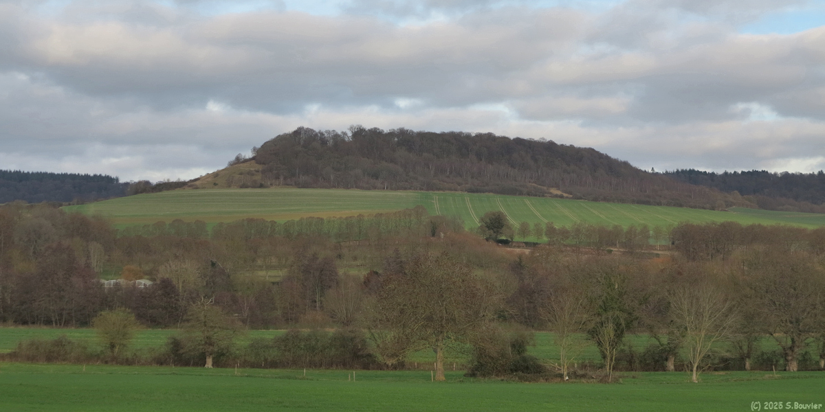 Mesnières en Bray (Côte)