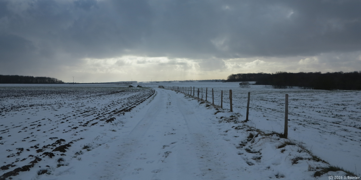 Saint Jacques d'Aliermont (Chemin)