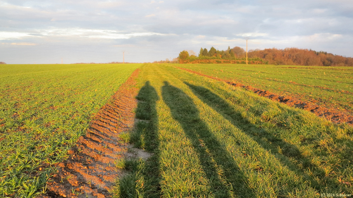Bellengreville (Panneau)