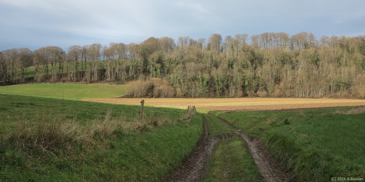 Derchigny (Chemin 3)