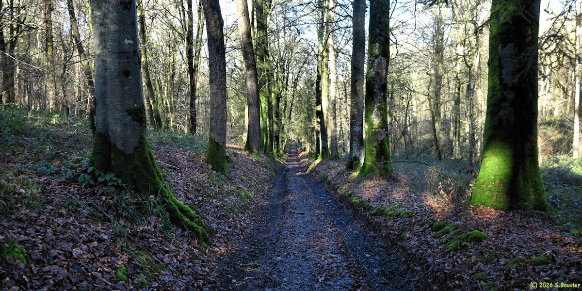 Saint Ouen sous Bailly (Chemin)