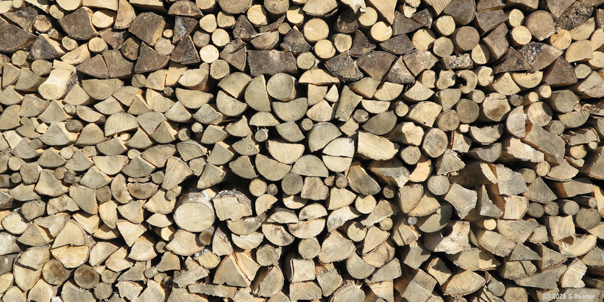 Saint Ouen sous Bailly (Bois)