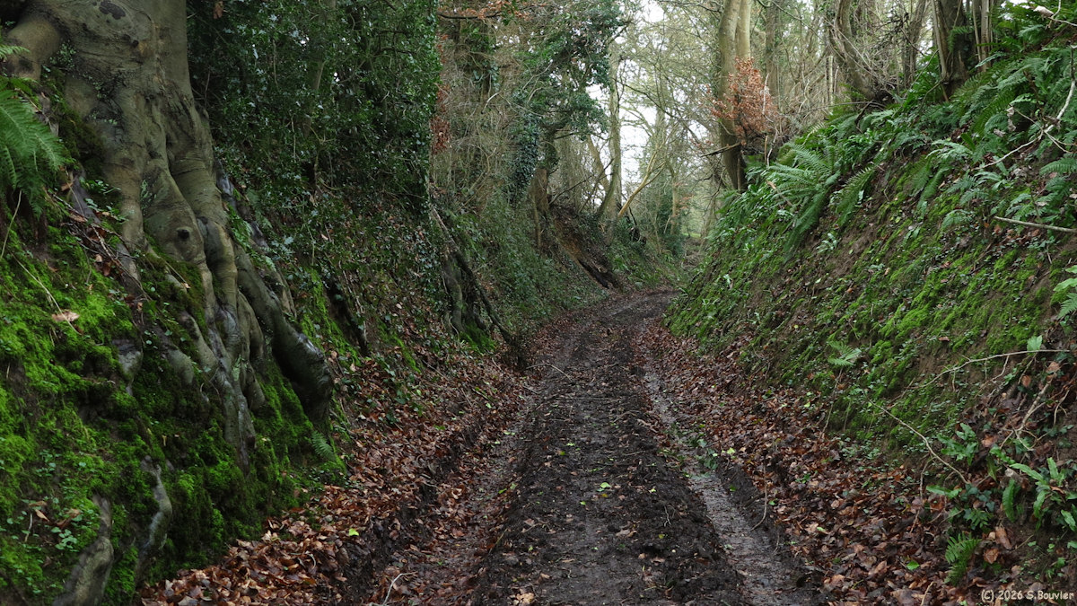 Bailly en Rivière (Chemin 1)