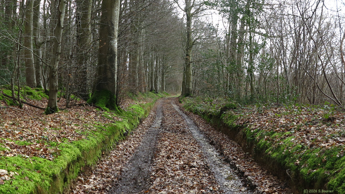 Bailly en Rivière (Chemin 2)