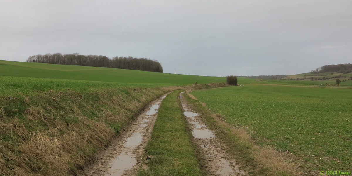 Bailly en Rivière (Chemin 3)