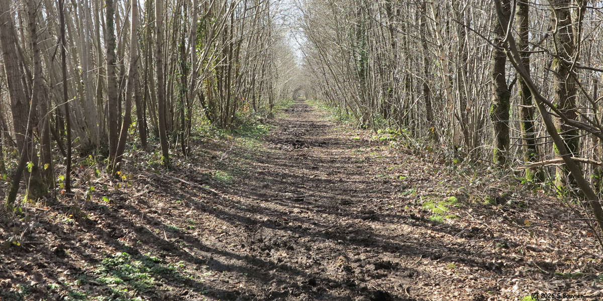 La Ferté Saint Samson (Ancienne Ligne)