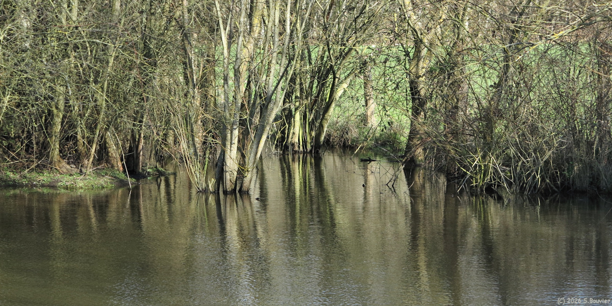 La Ferté Saint Samson (Mare)