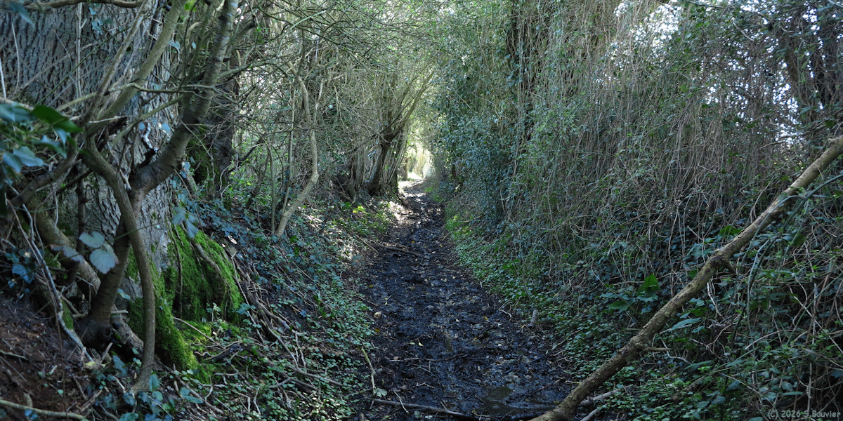 La Ferté Saint Samson (Chemin 2)