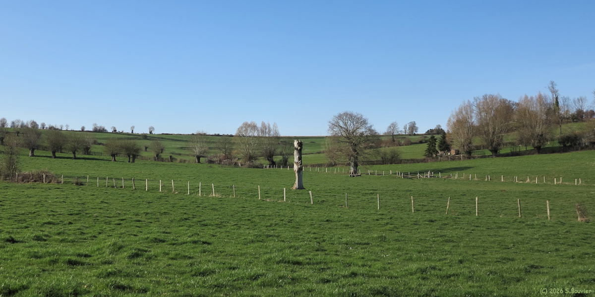 La Ferté Saint Samson (Vallon)