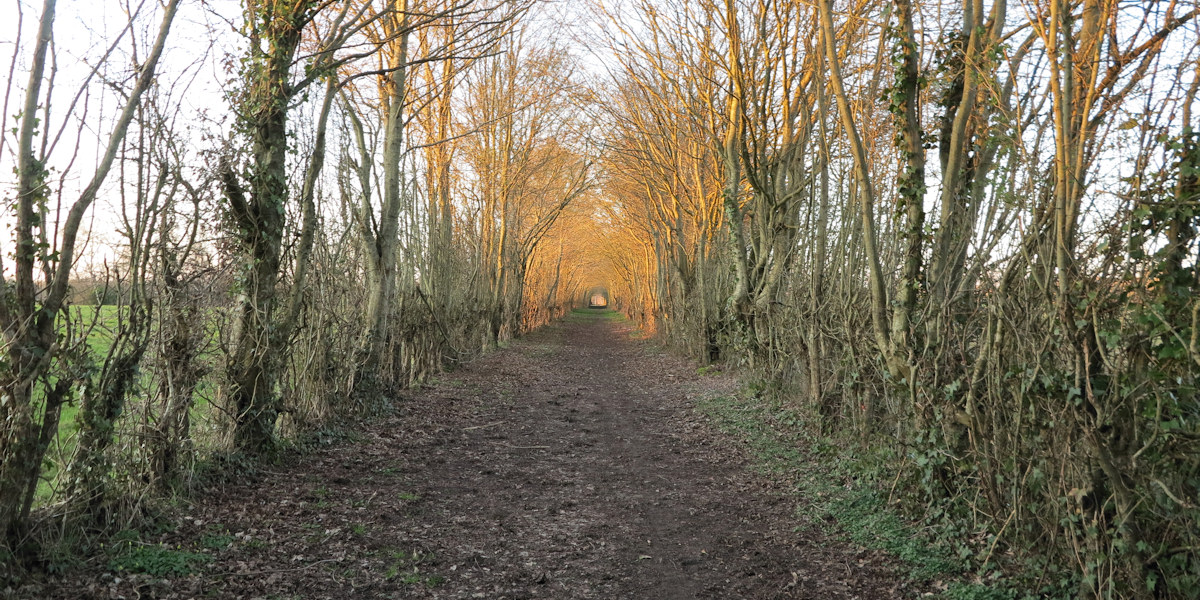 Forges les Eaux (Chemin)