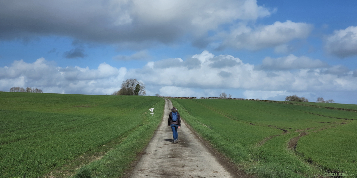La Ferté Saint Samson (Route 1)
